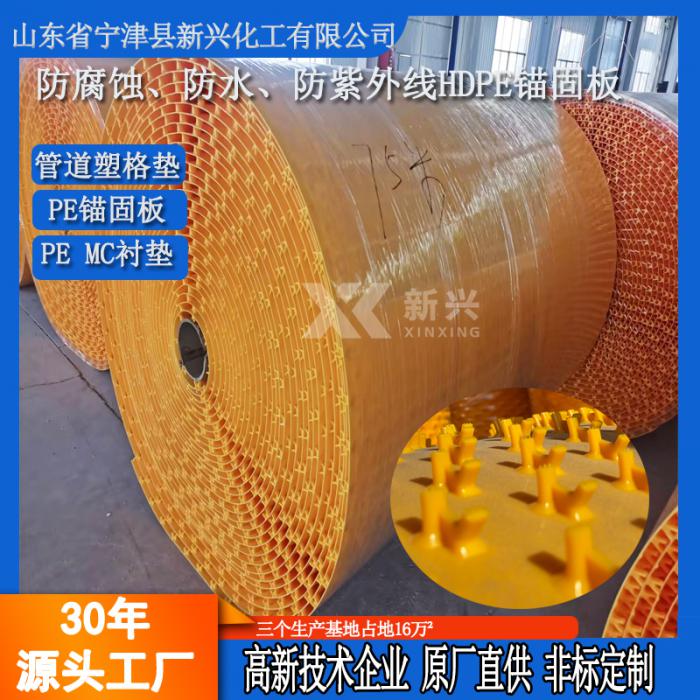 污水池改造mcpe衬垫耐磨耐腐蚀聚乙烯锚固板