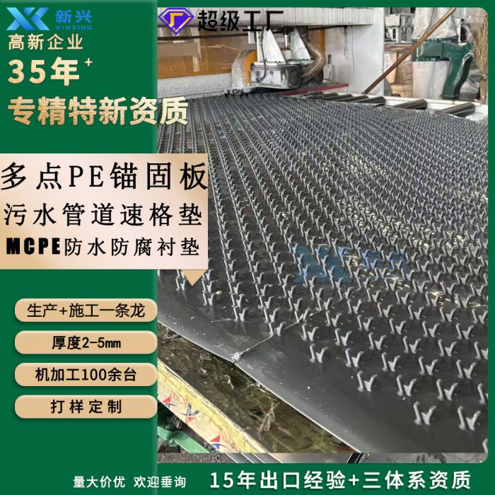 山东新兴 多点锚固聚乙烯HDPE板实力厂家性能卓越_施工便捷_全场景防渗锚固应用